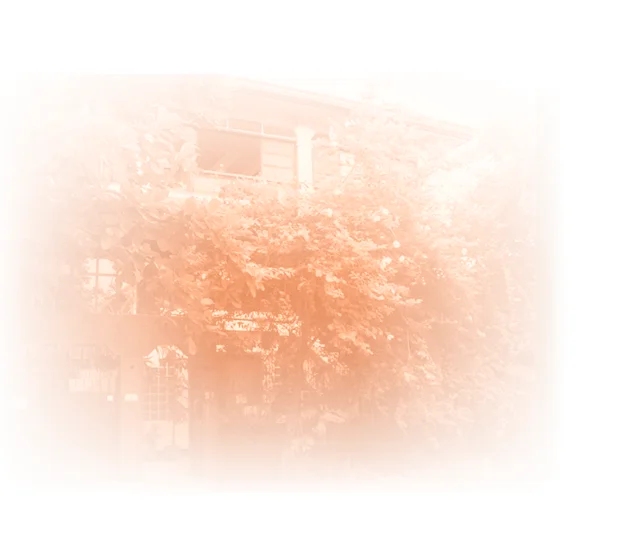 1988 – Rome to Manila